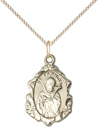 [0822FCGF/18GF] 14kt Gold Filled Saint Francis Pendant on a 18 inch Gold Filled Light Curb chain