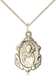 [0822FCGF/18GF] 14kt Gold Filled Saint Francis Pendant on a 18 inch Gold Filled Light Curb chain