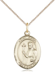 [8380GF/18GF] 14kt Gold Filled Saint Regis Pendant on a 18 inch Gold Filled Light Curb chain