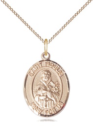 [8426GF/18GF] 14kt Gold Filled Saint Fidelis Pendant on a 18 inch Gold Filled Light Curb chain