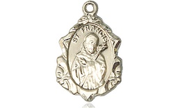 [0822FCGF] 14kt Gold Filled Saint Francis Medal