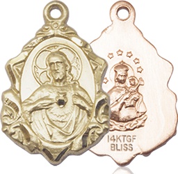 [0822SGF] 14kt Gold Filled Scapular Medal