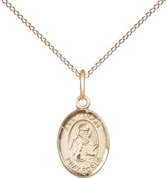 [9049GF/18GF] 14kt Gold Filled Saint Isidore of Seville Pendant on a 18 inch Gold Filled Light Curb chain