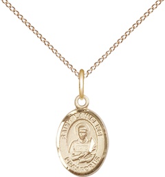 [9063GF/18GF] 14kt Gold Filled Saint Lawrence Pendant on a 18 inch Gold Filled Light Curb chain