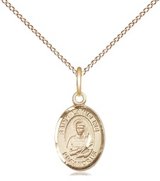 [9063GF/18GF] 14kt Gold Filled Saint Lawrence Pendant on a 18 inch Gold Filled Light Curb chain