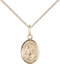 [9084GF/18GF] 14kt Gold Filled Saint Patrick Pendant on a 18 inch Gold Filled Light Curb chain