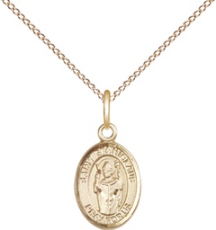 [9124GF/18GF] 14kt Gold Filled Saint Stanislaus Pendant on a 18 inch Gold Filled Light Curb chain