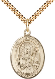 [7005GF/24G] 14kt Gold Filled Saint Apollonia Pendant on a 24 inch Gold Plate Heavy Curb chain