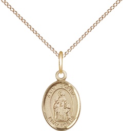 [9136GF/18GF] 14kt Gold Filled Saint Sophia Pendant on a 18 inch Gold Filled Light Curb chain