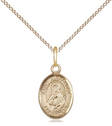 [9215GF/18GF] 14kt Gold Filled Saint Alexandra Pendant on a 18 inch Gold Filled Light Curb chain