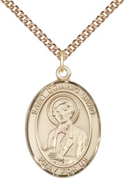 [7227GF/24GF] 14kt Gold Filled Saint Dominic Savio Pendant on a 24 inch Gold Filled Heavy Curb chain