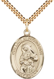 [7087GF/24G] 14kt Gold Filled Our Lady of Providence Pendant on a 24 inch Gold Plate Heavy Curb chain