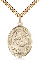 [7299GF/24G] 14kt Gold Filled Our Lady of Prompt Succor Pendant on a 24 inch Gold Plate Heavy Curb chain