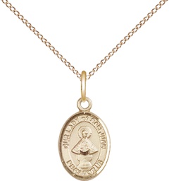 [9263GF/18GF] 14kt Gold Filled Our Lady of San Juan Pendant on a 18 inch Gold Filled Light Curb chain
