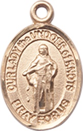 [9383KT] 14kt Gold Our Lady of Knots Medal