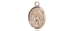 [9388KT] 14kt Gold Our Lady of Assumption Medal
