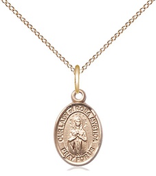 [9413GF/18GF] 14kt Gold Filled Our Lady of Rosa Mystica Pendant on a 18 inch Gold Filled Light Curb chain