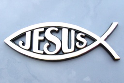 [FISH01] Adhesive Car Plaque