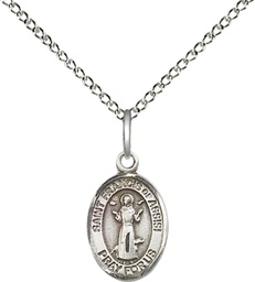 [9036SS/18SS] Sterling Silver Saint Francis of Assisi Pendant on a 18 inch Sterling Silver Light Curb chain