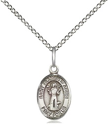 [9036SS/18SS] Sterling Silver Saint Francis of Assisi Pendant on a 18 inch Sterling Silver Light Curb chain