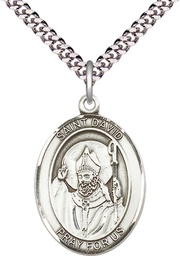 [7027SS/24S] Sterling Silver Saint David of Wales Pendant on a 24 inch Light Rhodium Heavy Curb chain