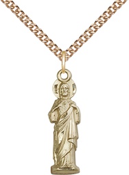 [5935GF/24GF] 14kt Gold Filled Sacred Heart Pendant on a 24 inch Gold Filled Heavy Curb chain