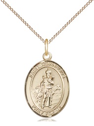 [8325GF/18GF] 14kt Gold Filled Saint Cornelius Pendant on a 18 inch Gold Filled Light Curb chain