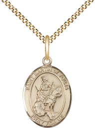 [8200GF/18G] 14kt Gold Filled Saint Martin of Tours Pendant on a 18 inch Gold Plate Light Curb chain