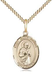 [8212GF/18G] 14kt Gold Filled Saint Isaac Jogues Pendant on a 18 inch Gold Plate Light Curb chain