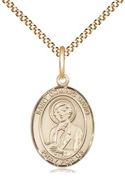 [8227GF/18G] 14kt Gold Filled Saint Dominic Savio Pendant on a 18 inch Gold Plate Light Curb chain