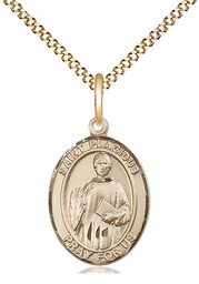 [8240GF/18G] 14kt Gold Filled Saint Placidus Pendant on a 18 inch Gold Plate Light Curb chain