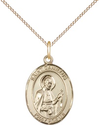 [8019GF/18GF] 14kt Gold Filled Saint Camillus of Lellis Pendant on a 18 inch Gold Filled Light Curb chain