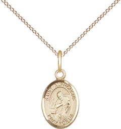 [9221GF/18GF] 14kt Gold Filled Saint Alphonsus Pendant on a 18 inch Gold Filled Light Curb chain