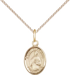 [9240GF/18GF] 14kt Gold Filled Saint Placidus Pendant on a 18 inch Gold Filled Light Curb chain