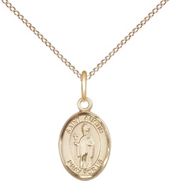 [9256GF/18GF] 14kt Gold Filled Saint Austin Pendant on a 18 inch Gold Filled Light Curb chain