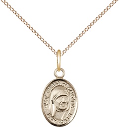 [9295GF/18GF] 14kt Gold Filled Saint Teresa of Calcutta Pendant on a 18 inch Gold Filled Light Curb chain