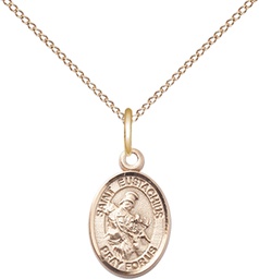 [9356GF/18GF] 14kt Gold Filled Saint Eustachius Pendant on a 18 inch Gold Filled Light Curb chain