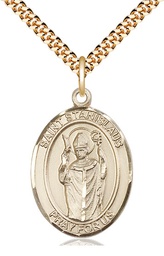 [7124GF/24G] 14kt Gold Filled Saint Stanislaus Pendant on a 24 inch Gold Plate Heavy Curb chain