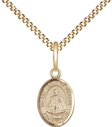 [9207GF/18G] 14kt Gold Filled Infant of Prague Pendant on a 18 inch Gold Plate Light Curb chain