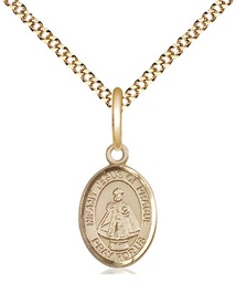 [9207GF/18G] 14kt Gold Filled Infant of Prague Pendant on a 18 inch Gold Plate Light Curb chain