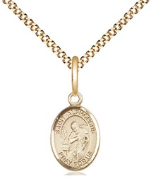 [9221GF/18G] 14kt Gold Filled Saint Alphonsus Pendant on a 18 inch Gold Plate Light Curb chain