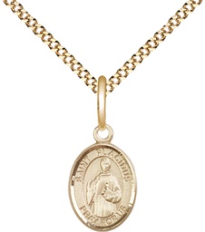 [9240GF/18G] 14kt Gold Filled Saint Placidus Pendant on a 18 inch Gold Plate Light Curb chain