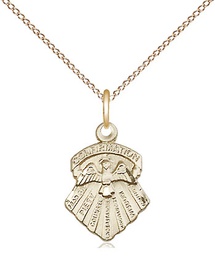 [0887GF/18GF] 14kt Gold Filled Seven Gifts Pendant on a 18 inch Gold Filled Light Curb chain