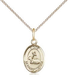 [0968GF/18GF] 14kt Gold Filled First Reconciliation Pendant on a 18 inch Gold Filled Light Curb chain