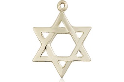 [1210KT] 14kt Gold Star of David Medal