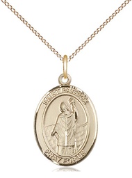 [8084GF/18GF] 14kt Gold Filled Saint Patrick Pendant on a 18 inch Gold Filled Light Curb chain