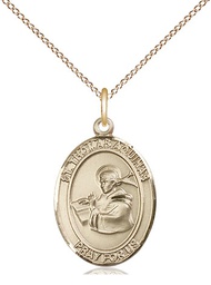 [8108GF/18GF] 14kt Gold Filled Saint Thomas Aquinas Pendant on a 18 inch Gold Filled Light Curb chain