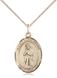 [8111GF/18GF] 14kt Gold Filled Saint Juan Diego Pendant on a 18 inch Gold Filled Light Curb chain