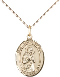 [8212GF/18GF] 14kt Gold Filled Saint Isaac Jogues Pendant on a 18 inch Gold Filled Light Curb chain