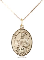 [8240GF/18GF] 14kt Gold Filled Saint Placidus Pendant on a 18 inch Gold Filled Light Curb chain